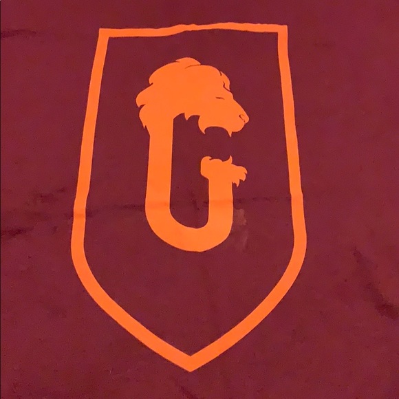 Harry Potter & the Cursed Child Gryffindor T-Shirt - Picture 5 of 6